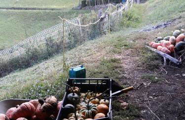 Graziosa, Casetta in Valgerola - Foto 23