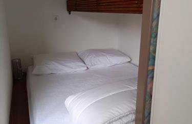 Les myrtilles La Pierre Saint Martin - Foto 13