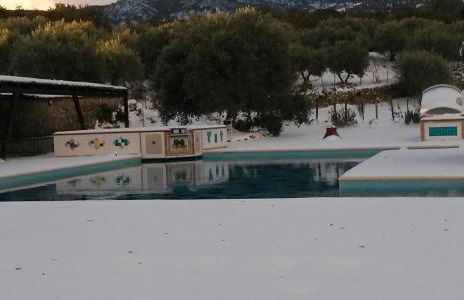 Le Querce di Cota - Foto 70