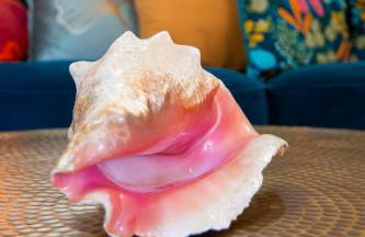 Balisier Maison Jacuzzi luxe privatif à 15min de Disneyland Paris - Foto 12