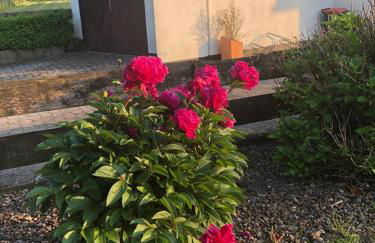 Ferienwohnung Weserberglandblick - Foto 48