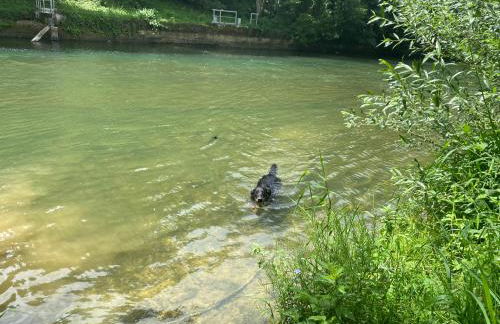 Chez Marilou - Foto 18