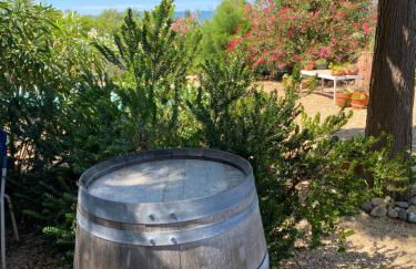 Mas Vigneron - Foto 26