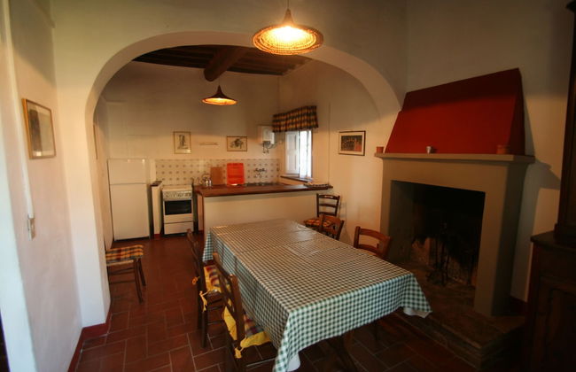 Fattoria Gambaro di Petrognano - Foto 35