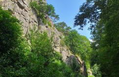 Le Cottage de L Abbaye - Photo 52