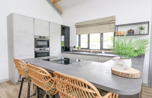 Barcud Coch - Red Kite - Photo 11