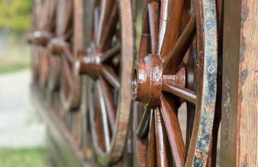 l'écureuil - Foto 11