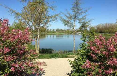 F&B's Home Disneyland Paris - Foto 55