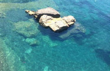 Casa Neruda - Foto 7