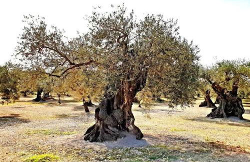 Casa Geminis I Comfortable holiday residence - Photo 34