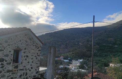 Alexander's cottage - Foto 17