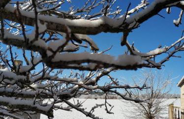 La Masía de Navas - Photo 56