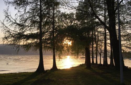 The Gulf Villa - Lago Maggiore - Foto 57