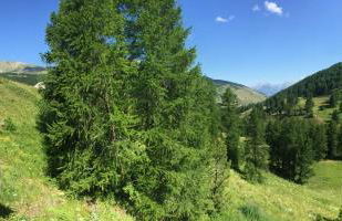 Duplex Familial à Vars, Chalets des Rennes - Foto 26