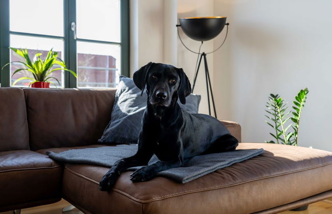 König Albert Residenz - Photo 36