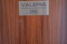 Valeria 26 Bosau am großen Plöner See - Foto 19