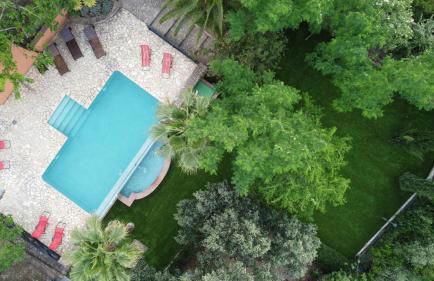 La Jacaranda - Foto 1