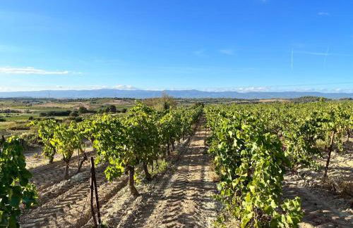 Haut de maison et piscine dans un domaine viticole - Foto 10