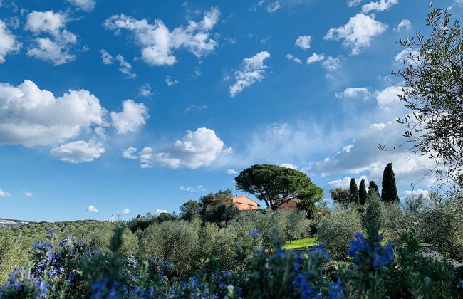 Tenuta Agricola Fraschiera - Foto 45