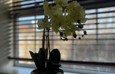 Stunning 1 bed flat in the heart of Greenwich - Foto 20