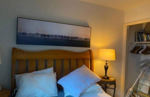 Comfy, Quiet, Condo near Lake Mary and the Village - Foto 49