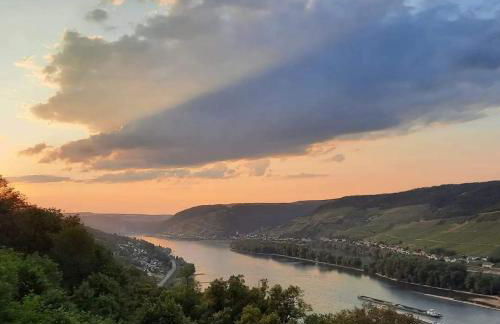 Ferienwohnung Rheinperle - Foto 21