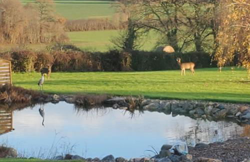 Grand Chalet - Foto 22