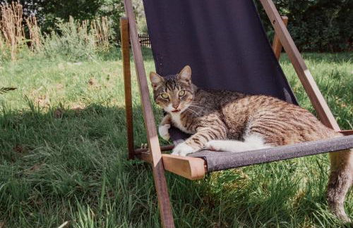 Urlaub im Alten Kutscherhaus - Photo 59