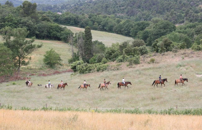 Domaine De Fraisse - Foto 22