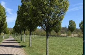 Ferienapartment Wiese & Meer auf Rügen - Foto 26