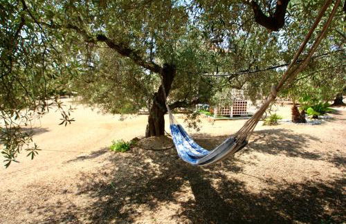 Cau d'Amor - Foto 13