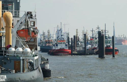 Familie Schwantes - Photo 22