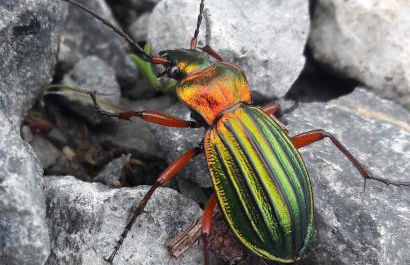 Steewer Landhaus gemütliche Ferienwohnung bis 6 Pers in ruhiger Ortsrandlage - Foto 57