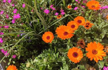 La Kamareta de Chite - Foto 45