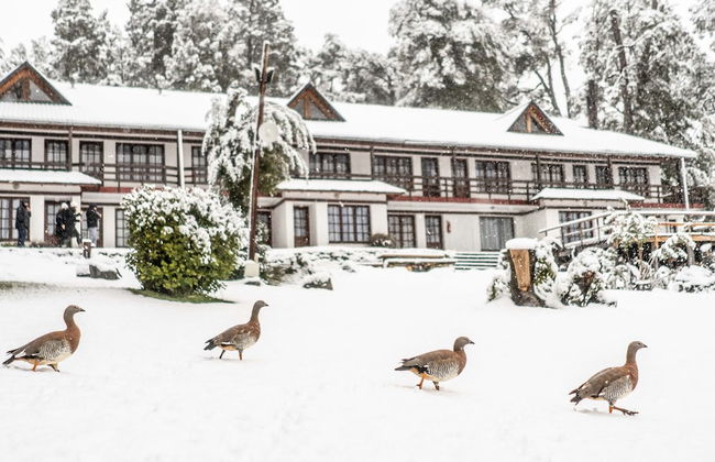 Casa del Lago - Photo 6