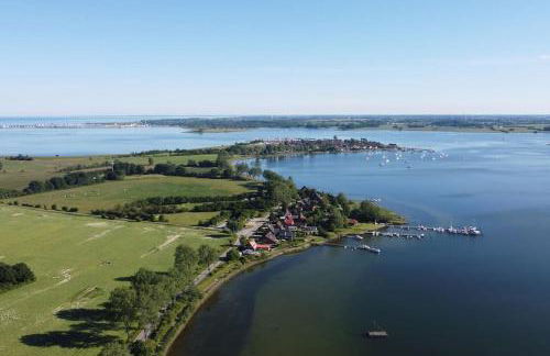 Gemütliches Ferienhäuschen an der Schlei & Ostsee - Foto 9