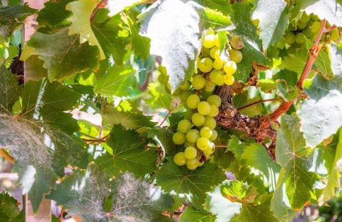 Del mar 37 - Foto 32