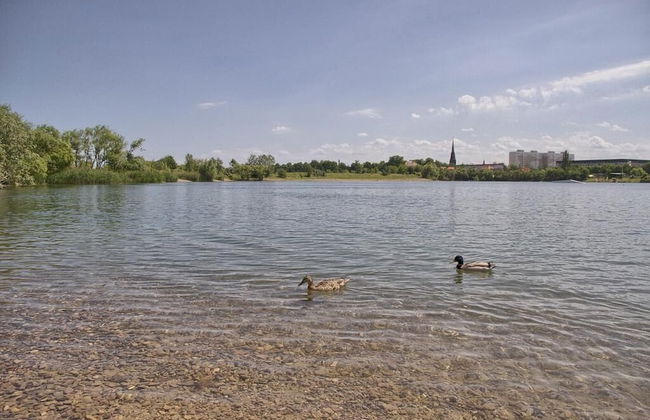 Dresdner-Tag Emma - Foto 19