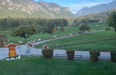 LE NID DU BIRDIE, Giez, Proche du lac d’Annecy - Foto 18