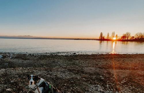 BodenseeLodge mit traumhafter Aussicht am See - Foto 25