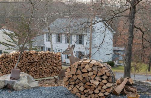 Modern Retreat Poconos 3BR Fire Pit Skiing - Foto 38