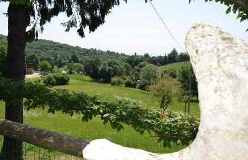 Agriturismo dell'Altopiano - Foto 15