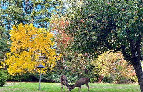 Beach and Bay Access! 5-Acre Whidbey Island Retreat - Foto 43
