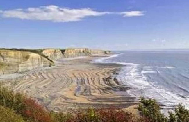 1-bed Cottage on Coastal Pathway in South Wales - Foto 14