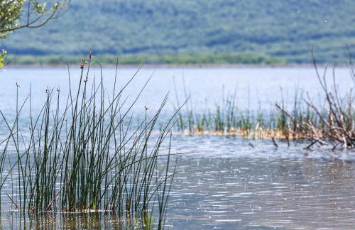 Forest Escape - Foto 46