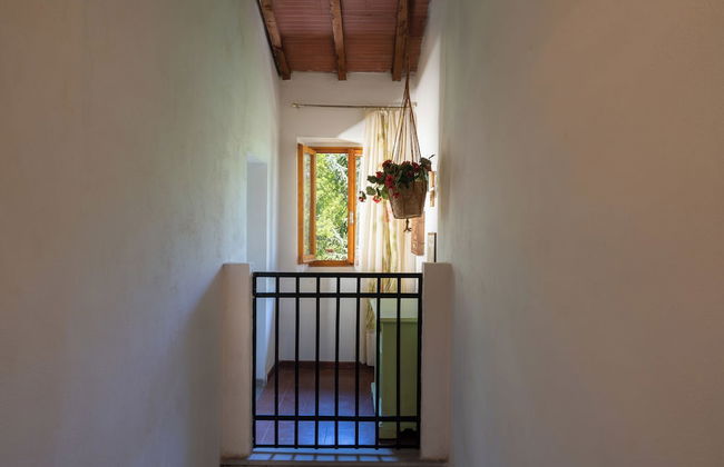 Podere La Vigna - Foto 29