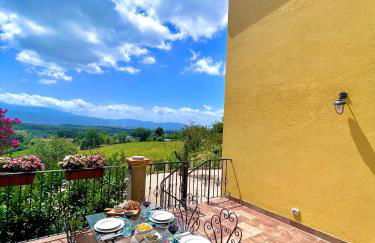 Donna Vittori - Borgo Agricolo - Foto 47