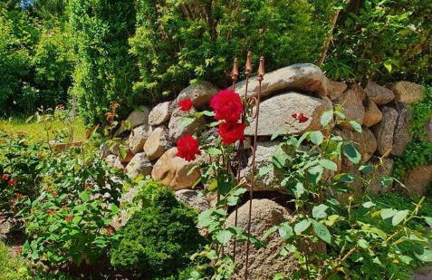 Top-bewertete Komfort-Ferienwohnung mit Sonnenterrasse in der Lüneburger Heide - Foto 15