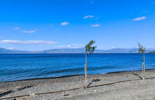 Palm tree house by the beach - Foto 39