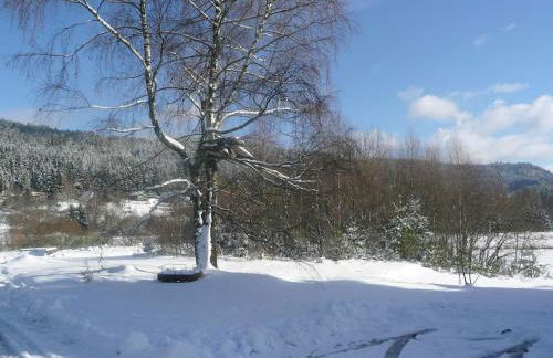 D2 Beautiful studio of 1 à 4 pers face valley 3 stars WiFi - Foto 3